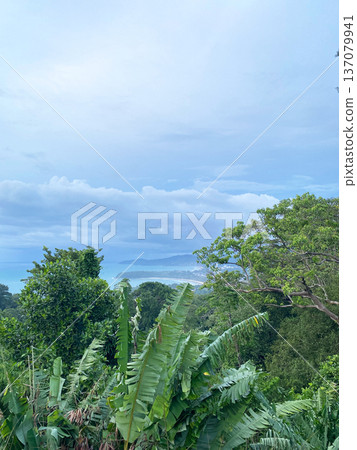 Lush tropical vegetation with banana plants and trees overlooking the coastline of Phuket, Thailand under a cloudy sky with distant mountains visible Lush tropical vegetation with banana plants and trees overlooking the coastline of Phuket, Thailand under a cloudy sky with distant mountains visible 137079941