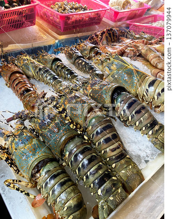 Freshly caught lobsters displayed on ice at a seafood market with pink baskets and various shellfish in the background 137079944