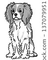 騎士查理王犬插圖，透明背景，黑白 137079951