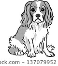 騎士查理王犬插圖，透明背景，黑白 137079952