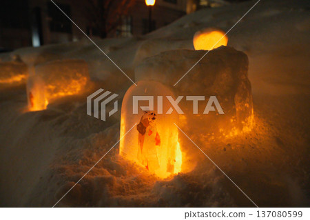 小樽雪光之路 2026 137080599