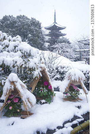Snow-covered Ueno Toshogu Shrine Snow-covered Ueno Toshogu Shrine 137080613