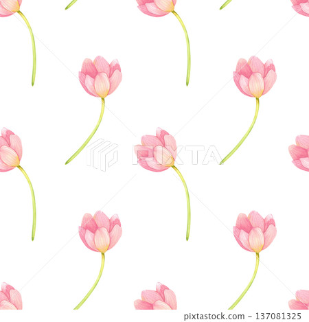 Seamless pattern with fresh tulips. Spring pink flowers hand-drawn in watercolor. Seamless pattern with fresh tulips. Spring pink flowers hand-drawn in watercolor. 137081325