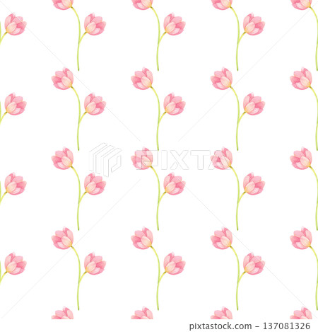 Seamless pattern with fresh, delicate tulips. Spring pink flowers hand drawn in watercolor. Seamless pattern with fresh, delicate tulips. Spring pink flowers hand drawn in watercolor. 137081326