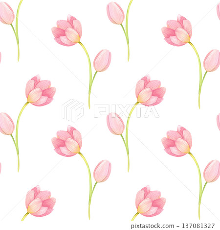 Seamless pattern with fresh, delicate tulips and buds. Spring pink flowers hand drawn in watercolor. 137081327