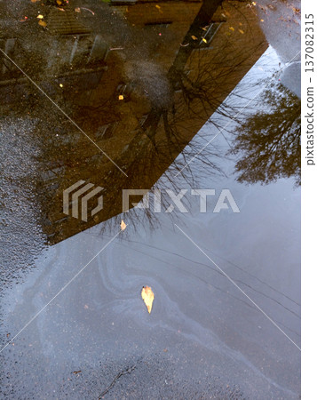 The Architecture backgrounds and objects. Reflection in a puddle. 137082315