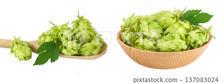 Hop cones in wooden spoon and bowl isolated on white background. Beer brewing ingredients Hop cones in wooden spoon and bowl isolated on white background. Beer brewing ingredients 137083024