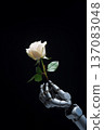 robot hand and flower. generative ai 137083048