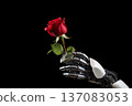 robot hand and flower. generative ai 137083053