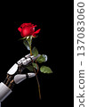 robot hand and flower. generative ai 137083060