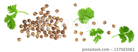 Dried coriander seeds with fresh green leaf isolated on white background. Top view. Flat lay Dried coriander seeds with fresh green leaf isolated on white background. Top view. Flat lay 137083061