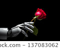 robot hand and flower. generative ai 137083062