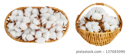 Cotton plant flower in a wicker basket isolated on white background with full depth of field. Top view. Flat lay Cotton plant flower in a wicker basket isolated on white background with full depth of field. Top view. Flat lay 137083090