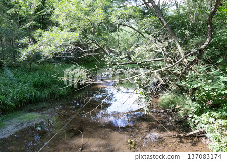 Landscape with Brooks Landscape with Brooks 137083174