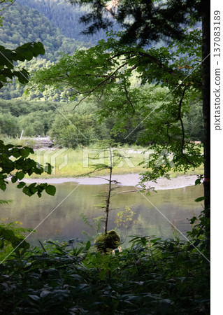 A reservoir surrounded by greenery in Chino City, Nagano Prefecture A reservoir surrounded by greenery in Chino City, Nagano Prefecture 137083189