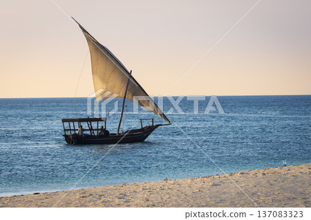 Traditional Dhow boat sailing during sunset in Zanzibar Traditional Dhow boat sailing during sunset in Zanzibar 137083323