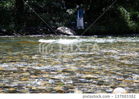 Brown bear searching for food in the river Brown bear searching for food in the river 137083382