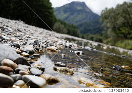 River seen from the riverbank River seen from the riverbank 137083420