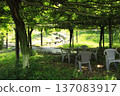 green garden green garden 137083917
