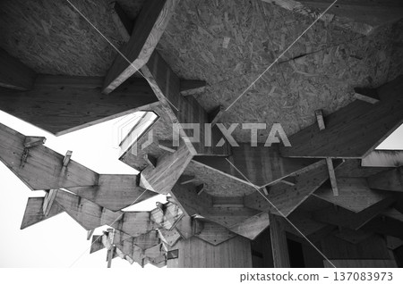 A beautiful geometric timber frame ceiling (monochrome) A beautiful geometric timber frame ceiling (monochrome) 137083973