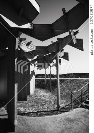 連續幾何木結構建築的結構美感及其在地面上的陰影（單色） 137083974