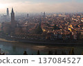 view of the city from the height 137084527