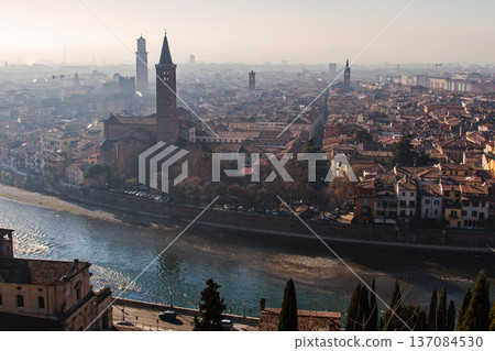 aerial view of downtown 137084530