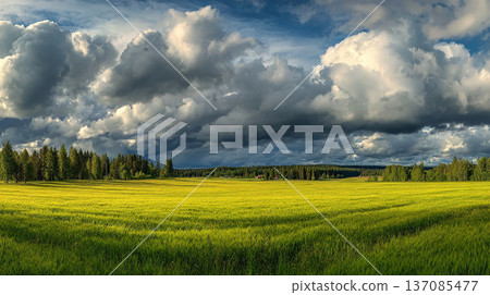 暴風雨前的寧靜：積雨雲緩緩逼近，夏日草甸波光粼粼。 137085477