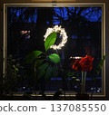 A cozy nighttime interior scene showing leafy houseplants on a windowsill 137085550