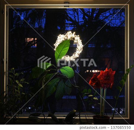 A cozy nighttime interior scene showing leafy houseplants on a windowsill A cozy nighttime interior scene showing leafy houseplants on a windowsill 137085550