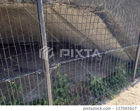 Bunker, Bunker Remains, War Remains (Shimoharaguchi Park, Omura City, Nagasaki Prefecture) 137085627