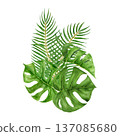 Watercolor tropical foliage arrangement with palm fronds and monstera leaves in rich green tones. Botanical jungle composition inspired by island travel, resort lifestyle and exotic summer destination Watercolor tropical foliage arrangement with palm fronds and monstera leaves in rich green tones. Botanical jungle composition inspired by island travel, resort lifestyle and exotic summer destination 137085680