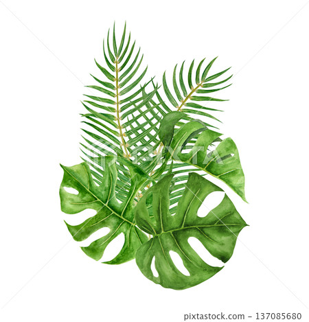 Watercolor tropical foliage arrangement with palm fronds and monstera leaves in rich green tones. Botanical jungle composition inspired by island travel, resort lifestyle and exotic summer destination Watercolor tropical foliage arrangement with palm fronds and monstera leaves in rich green tones. Botanical jungle composition inspired by island travel, resort lifestyle and exotic summer destination 137085680