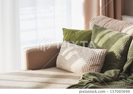 Textured Pillows and Blanket on Sofa. Cozy Spring Home Interior with Natural Light 137085699