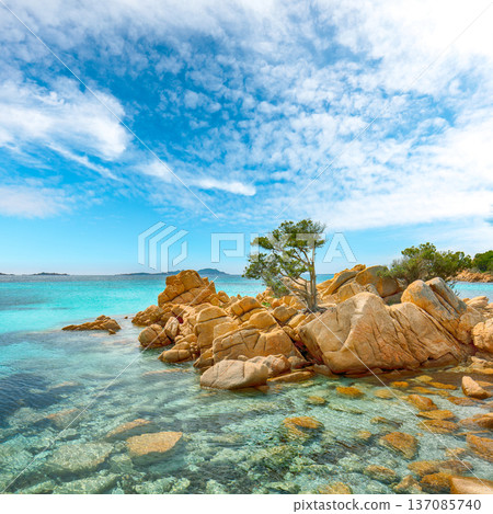 Remarkable view of Capriccioli beach in Costa Smeralda. Remarkable view of Capriccioli beach in Costa Smeralda. 137085740