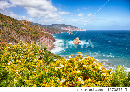 Remarkable spring view of Nebida and Fontanamare coastline with Scoglio il Morto and turquoise sea. 137085745