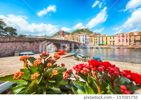 Remarkable cityscape of Bosa town with Ponte Vecchio bridge across the Temo river. 137085750