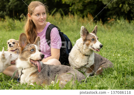 Professional dog walker young woman with pack of dogs is sitting on grass and enjoying walk animals. Professional dog walker young woman with pack of dogs is sitting on grass and enjoying walk animals. 137086118