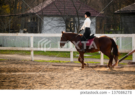 Female equestrian in black riding attire guides brown horse in sandy arena with wooden fence and stable buildings in the background during late afternoon sunlight Female equestrian in black riding attire guides brown horse in sandy arena with wooden fence and stable buildings in the background during late afternoon sunlight 137086278