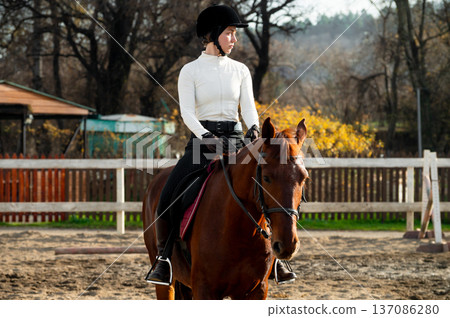 Equestrian female rider in white long-sleeve shirt and black riding pants sits on brown horse in outdoor arena with wooden fence and trees in the background 137086280
