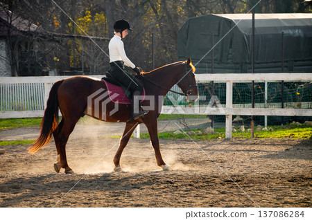 Equestrian woman rider in black attire guides brown horse in a sandy riding arena with a wooden fence and green grass in the background during daylight Equestrian woman rider in black attire guides brown horse in a sandy riding arena with a wooden fence and green grass in the background during daylight 137086284