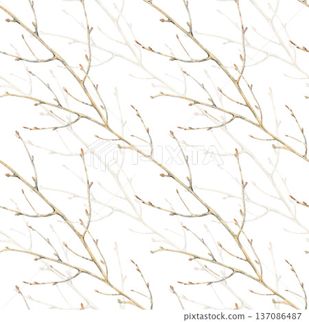 Diagonal seamless pattern with brown tree branches without leaves. Watercolor illustration of a botanical element on an isolated background. Realistic background of natural colors with images of bare Diagonal seamless pattern with brown tree branches without leaves. Watercolor illustration of a botanical element on an isolated background. Realistic background of natural colors with images of bare 137086487