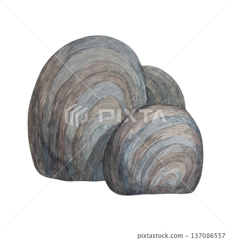 Watercolor illustration of a sea boulder Watercolor illustration of a sea boulder 137086557