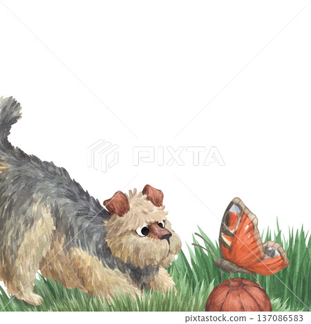 A watercolor-style frame featuring a cute curly-haired terrier playing ball on the lawn A watercolor-style frame featuring a cute curly-haired terrier playing ball on the lawn 137086583