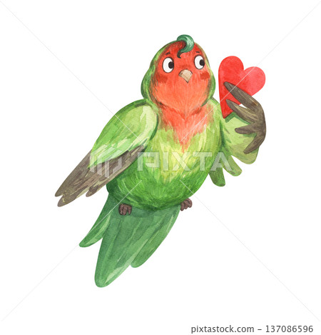 A bright enamored parrot holds a Valentine's card in its wing A bright enamored parrot holds a Valentine's card in its wing 137086596
