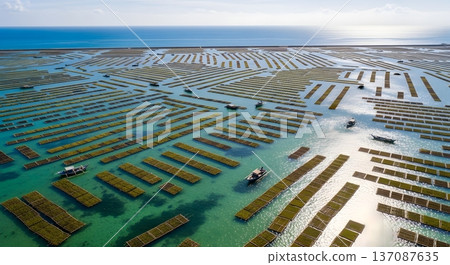 Sustainable Seaweed Farm Sustainable Seaweed Farm 137087635