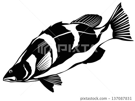 A simple black and white paper cutout illustration of a red-tailed shrike living in the clear waters of the Shimanto River A simple black and white paper cutout illustration of a red-tailed shrike living in the clear waters of the Shimanto River 137087831