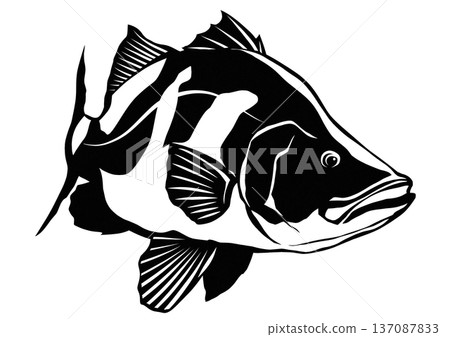一幅黑白剪紙拼貼插畫,描繪了一條外形酷炫的魚——赤瞳。 一幅黑白剪紙拼貼插畫,描繪了一條外形酷炫的魚——赤瞳。 137087833