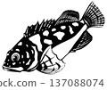 A black and white cut-out collage illustration of a rockfish with adorable eyes that look tough yet cute 137088074