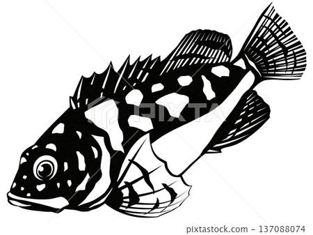 一幅黑白剪紙拼貼插畫，描繪了一條有著可愛眼睛的石斑魚，看起來既堅韌又萌趣。 137088074